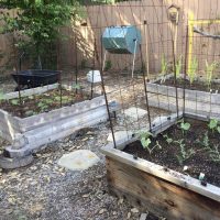 Backyard Garden in Southern California!